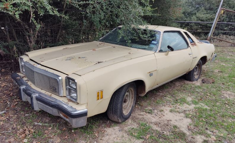 77 Malibu Tan